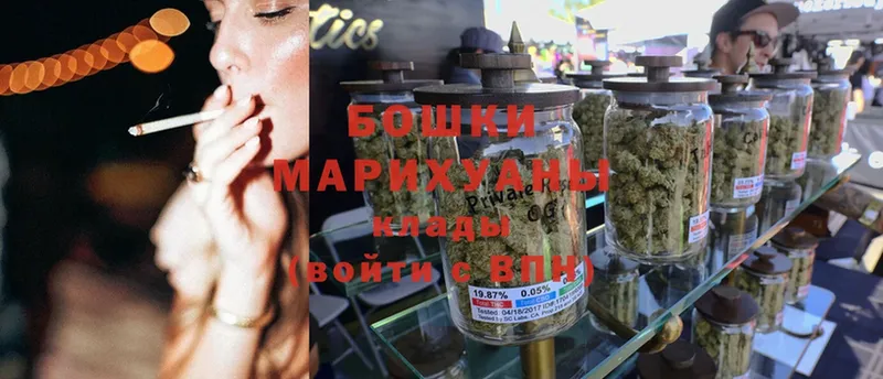 Бошки марихуана White Widow  даркнет сайт  Гаджиево 